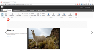 Adding a Carousel to a Page Adding a Carousel to a Page