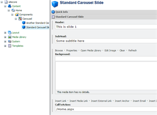 Carousel Slide Content Fields Carousel Slide Content Fields