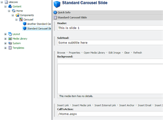 Carousel Slide Content Fields